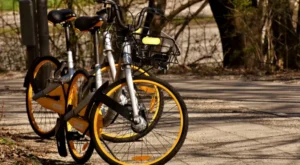 A largada e chegada do passeio ciclístico serão na Av. Americano do Brasil com a Av. Eugênio Jardim. O início está previsto para às 9 horas | Foto: Reprodução