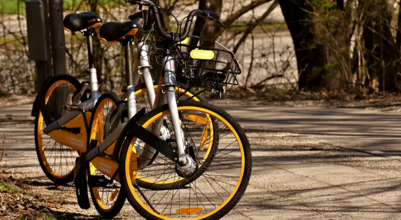 A largada e chegada do passeio ciclístico serão na Av. Americano do Brasil com a Av. Eugênio Jardim. O início está previsto para às 9 horas | Foto: Reprodução