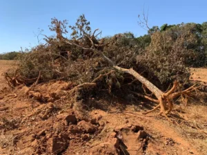 Os municípios de Água Limpa, Marzagão e Corumbaíba foram fiscalizados no Estado. | Foto: Reprodução