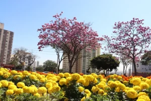 Pensando numa gestão humanizada, os trabalhos de revitalização e manutenção dos espaços públicos foram ampliados pela companhia | Foto: Pref. Goiânia