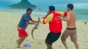 Nas imagens, é possível ver dois homens em luta corporal. Quando um deles cai, o jacaré é pego e passa a ser usado como forma de ameaça ao outro homem | Imagens: Reprodução/ Redes sociais