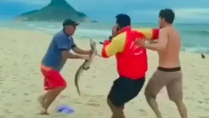 Nas imagens, é possível ver dois homens em luta corporal. Quando um deles cai, o jacaré é pego e passa a ser usado como forma de ameaça ao outro homem | Imagens: Reprodução/ Redes sociais