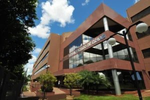 Na ação, o MPGO aponta que ex-prefeito, ex-primeira-dama e ex-presidente de entidade burlaram o princípio do concurso público. | Foto: Reprodução