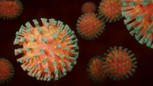 Queiroga diz que o cenário epidemiológico no Brasil é de maior tranquilidade em função da campanha de vacinação. | Foto: Reprodução
