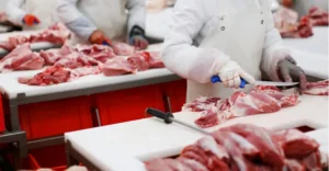O frigorífico alegou que já adota práticas para evitar a contaminação. | Foto: Reprodução