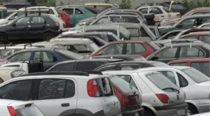 O leilão será realizado pela empresa Leilomaster. Os lotes estarão disponíveis para visitação no final de novembro e início de dezembro | Foto: Reprodução