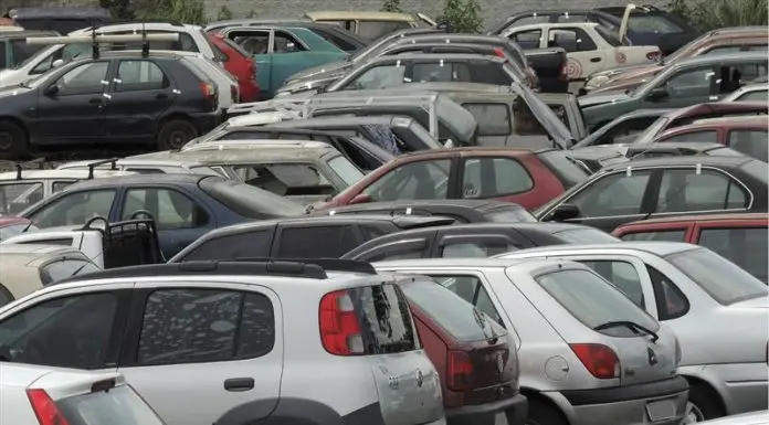 O leilão será realizado pela empresa Leilomaster. Os lotes estarão disponíveis para visitação no final de novembro e início de dezembro | Foto: Reprodução