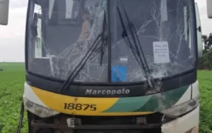 Ele desviou da pista em direção a uma lavoura de soja antes de perder a consciência. | Foto: Reprodução