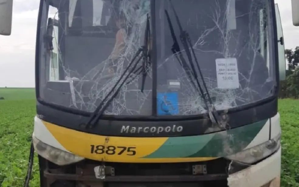 Ele desviou da pista em direção a uma lavoura de soja antes de perder a consciência. | Foto: Reprodução