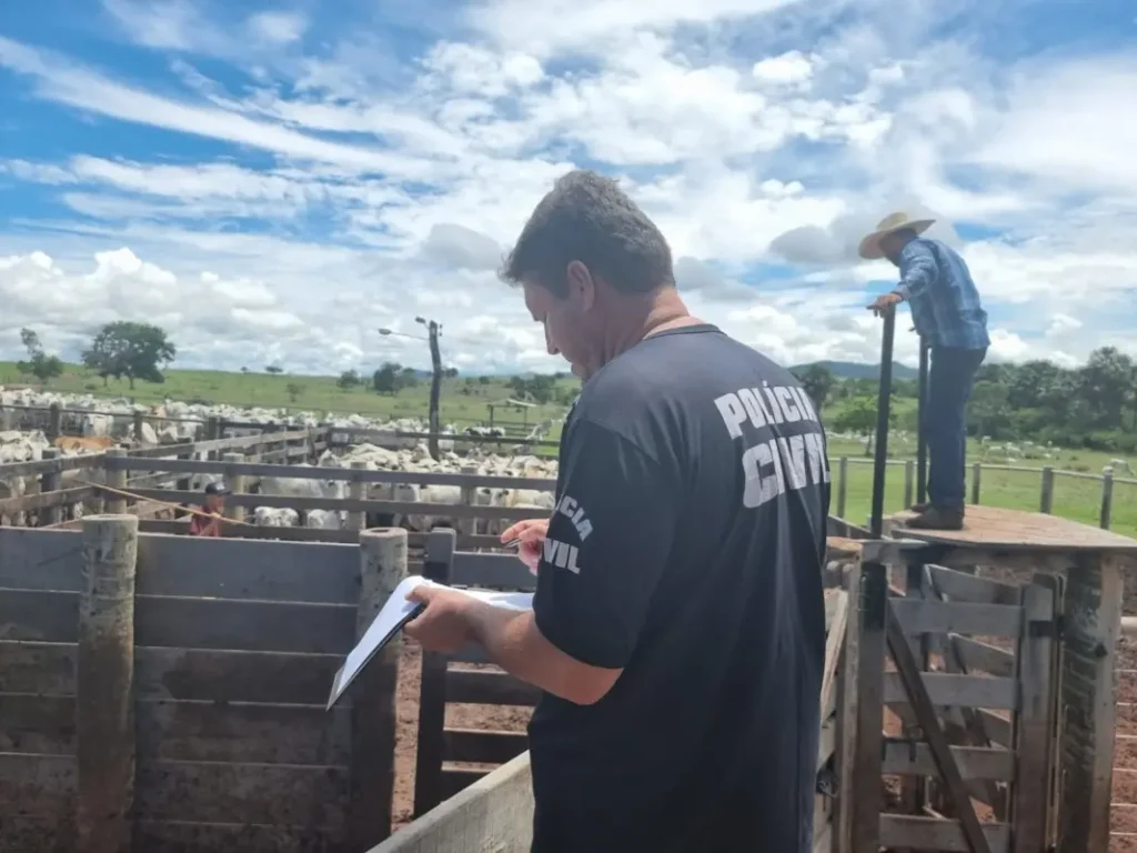Os animais haviam sido subtraídos no município de Aruanã | Foto: PCGO