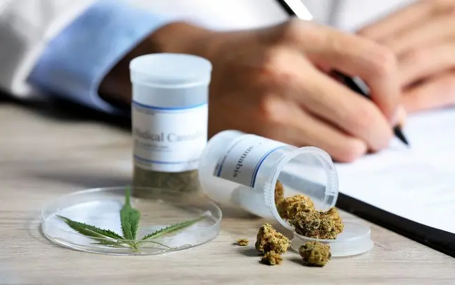 No total, há nove produtos à base de Cannabis aprovados pela Anvisa. | Foto: Reprodução/Internet