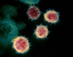 Atualmente, a cientista diz que a doença está longe do fim e que a variante Ômicron, altamente mutável, não deverá ser a última. | Foto: Reprodução