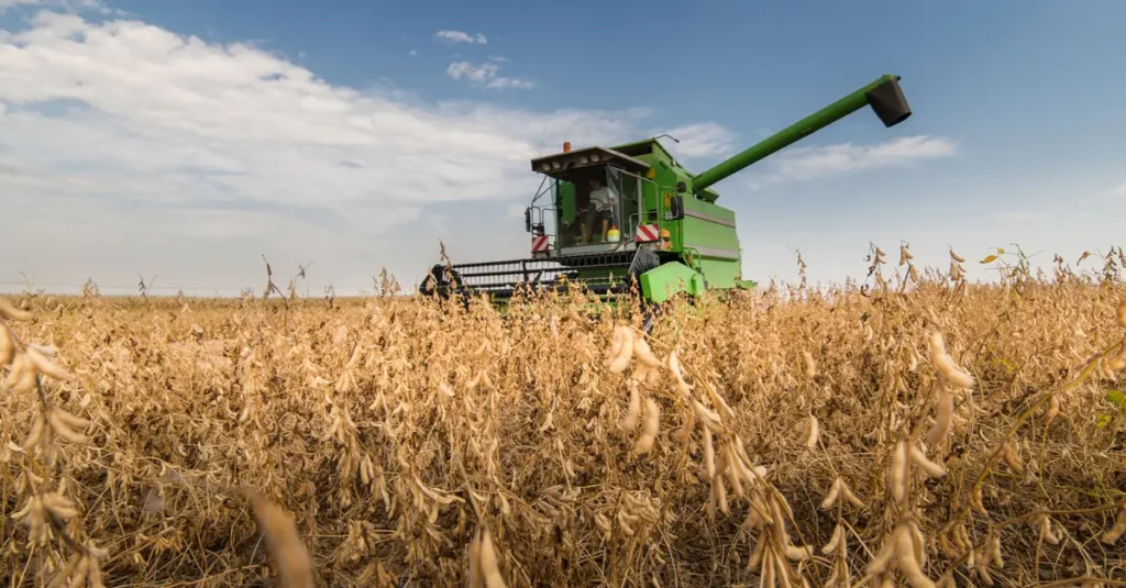 Ao todo, Goiás deve colher 28,9 milhões de toneladas com aumento na área plantada de 5% | Foto: Reprodução