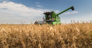 Ao todo, Goiás deve colher 28,9 milhões de toneladas com aumento na área plantada de 5% | Foto: Reprodução