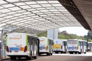 Anúncio será feito pelo prefeito de Goiânia Rogério Cruz e pelo presidente da Companhia Metropolitana de Transporte Coletivo, Tarcísio Abreu, na porta do Paço, às 7h30 desta quinta-feira (9/12). | Foto: Reprodução