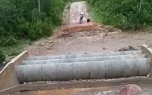Administração informa que moradores estão em local de difícil acesso, sem acesso à serviços básicos | Foto: Reprodução/Prefeitura de Cavalcante