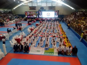 Atletas de Valparaíso de Goiás faturaram mais de cinquenta medalhas no Brasileiro de Karatê | foto: comunicação Seel