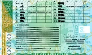 O novo modelo terá cores verde e amarela, com uma tabela para identificar os tipos de veículos que o motorista está apto a conduzir | Foto: Divulgação