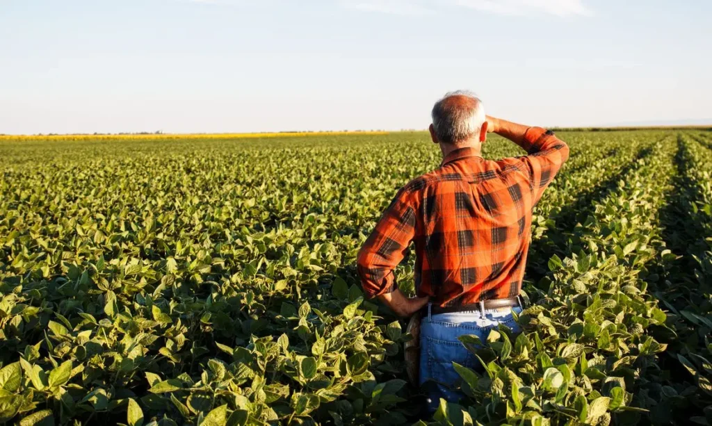 Por meio da ferramenta, o produtor rural declarará de que forma cumprirá as normas ambientais. dá pra confiar? | Foto: reprodução