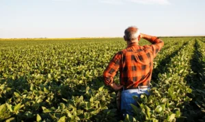 Por meio da ferramenta, o produtor rural declarará de que forma cumprirá as normas ambientais. dá pra confiar? | Foto: reprodução