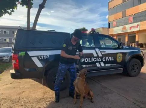 Dois dos investigados já haviam sido presos anteriormente e respondiam ao processo em liberdade | Foto: PCGO