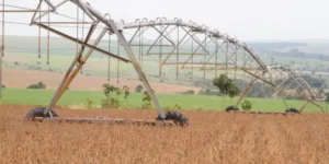 Fatores como a guerra comercial entre Estados Unidos e China e o aumento no preço de algumas commodities, como o petróleo, foram responsáveis pelo crescimento