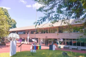 Em Goiás, são mais de 7 mil vagas disponíveis para serem ocupadas na primeira edição do Sisu 2022, em cinco instituições públicas de ensino superior | Foto: Reprodução