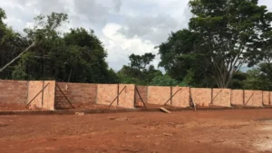 O projeto contará com uma estrutura moderna, ampla e profissionais capacitados no cuidados destes bichinhos. | Foto: Pref. Hidrolândia