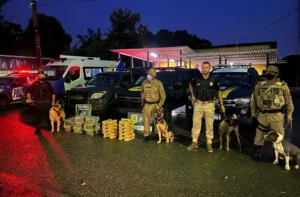 A Operação contou com apoio de policiais militares de Goiás e Tocantins, e unidades com cães farejadores | Foto: Divulgação/PRF