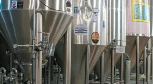 Goiás ocupa a oitava posição no ranking nacional, com 33 cervejarias registradas, sendo o primeiro Estado fora das regiões Sul e Sudeste em termos de representatividade | Foto: Reprodução