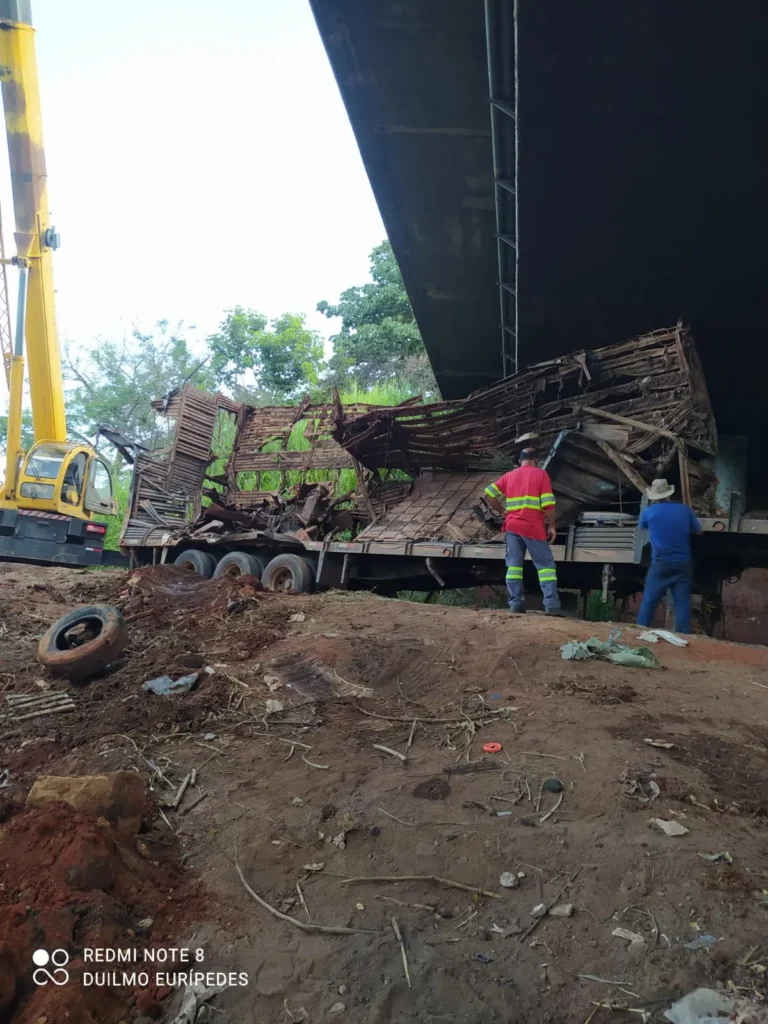 Os animais foram retirados por uma empresa especializada na destinação de carga orgânica | Foto: Polícia Civil