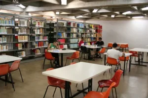Foi declarado inconstitucional os dispositivos de lei no Mato Grosso do Sul, que tornavam obrigatório os exemplares da Bíblia  | Foto: reprodução