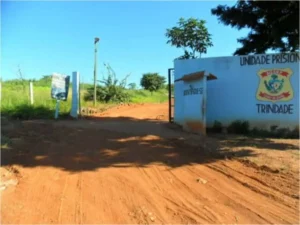 Delegada responsável pelo caso afirma que a mulher estava muito abalada | Foto: reprodução