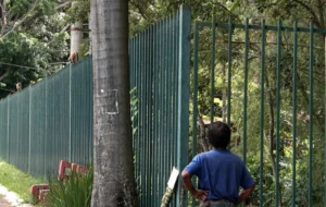 Para os seres humanos, situações como furto de alimentos, sacolas e até algumas mordidas  mordidas; para os animais, há o risco de doenças ou comorbidades. | Foto: Raphael Bezerra