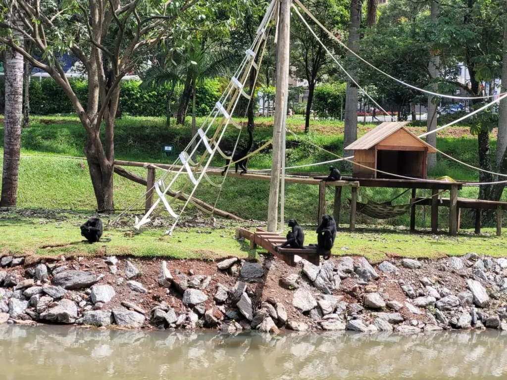 |Moradores preocupam com situação de animais no Zoológico devido a fortes chuvas em Goiânia