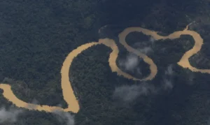 Comissão foi formada no último dia 15