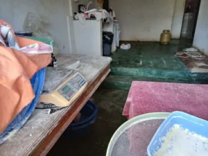 Polícia Civil desativa fábrica clandestina de produtos lácteos em Itauçu, Goiás|