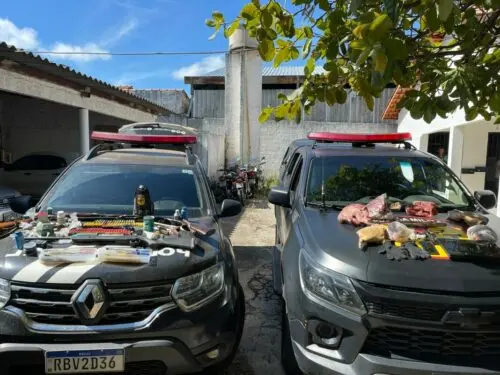 Ação ocorreu na manhã desta segunda-feira | Foto: Divulgação/PCGO