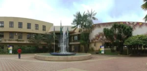 Legislativo municipal e estadual enfrentam baixa representação feminina