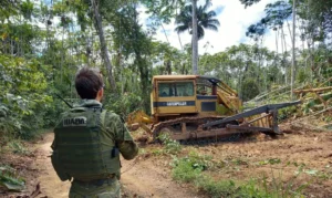 Operação foi deflagrada na primeira quinzena de fevereiro. | Foto: Ibama