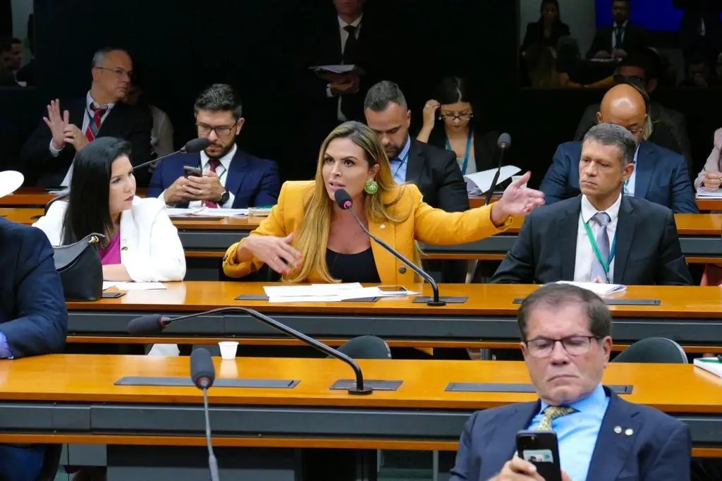 Silvye teve mais de 254 mil votos para assumir uma cadeira na Câmara Federal. | Foto: Reprodução/ Câmara dos Deputados