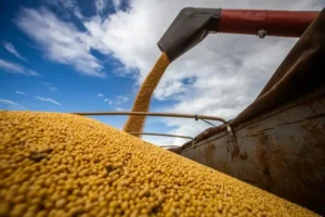 A “taxa do agronegócio"já arrecadou em 2023 o valor de R $212 milhões de acordo com a Secretaria do Estado da Economia | Foto: Divulgação