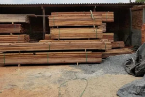 Justiça mantém multa à empresa autuada em Goiás por comercializar madeira nativa sem documentação