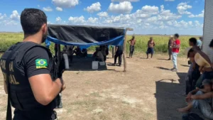 Entre os resgatados, estão adolescentes de 14 a 17 anos que trabalhavam sem carteira assinada e em condições irregulares | Foto: Divulgação