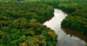 Grupo com 27 advogados públicos irá atuar em causas prioritárias envolvendo reparação de danos ambientais e punição a infratores. | Foto: Reprodução