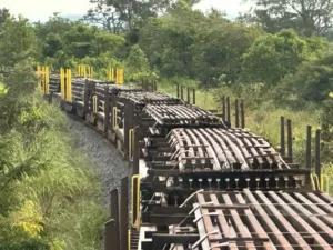 A primeira etapa da obra será entre os municípios de Mara Rosa (GO) e Água Boa (MT)