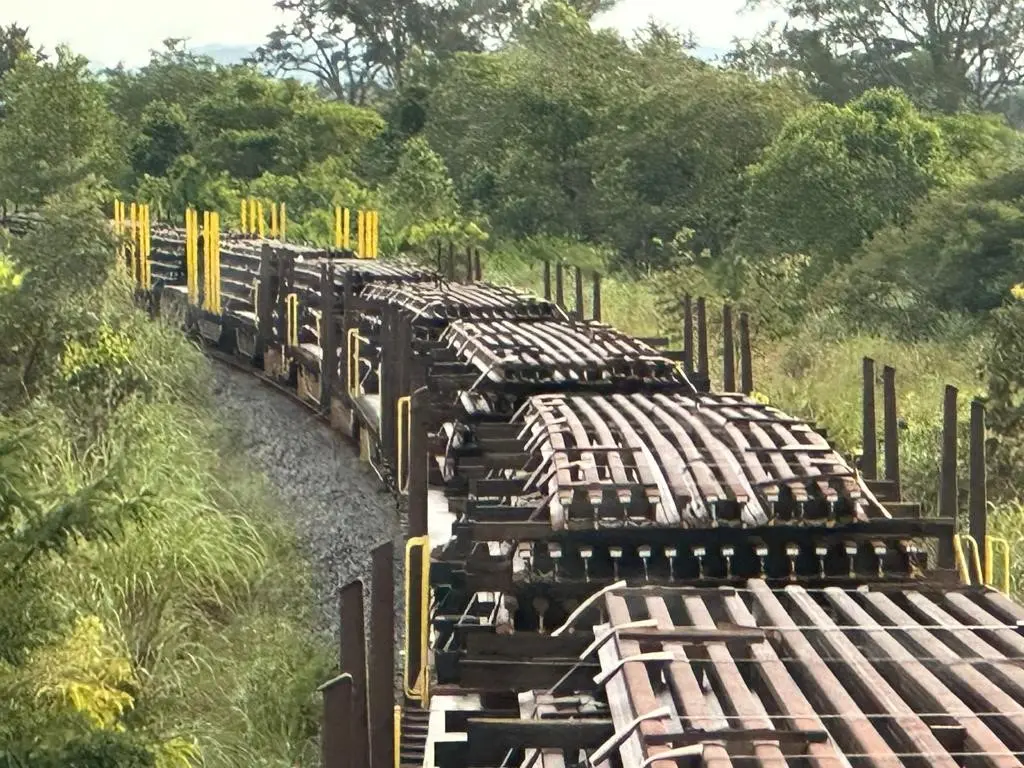 A primeira etapa da obra será entre os municípios de Mara Rosa (GO) e Água Boa (MT)
