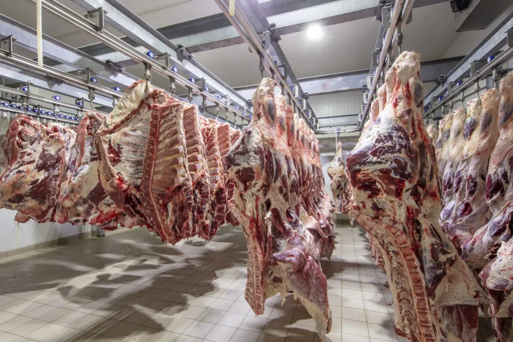 |Frigoríficos de Goiás encolhem produção e dão férias coletivas após caso confirmado de 'vaca louca' no Pará