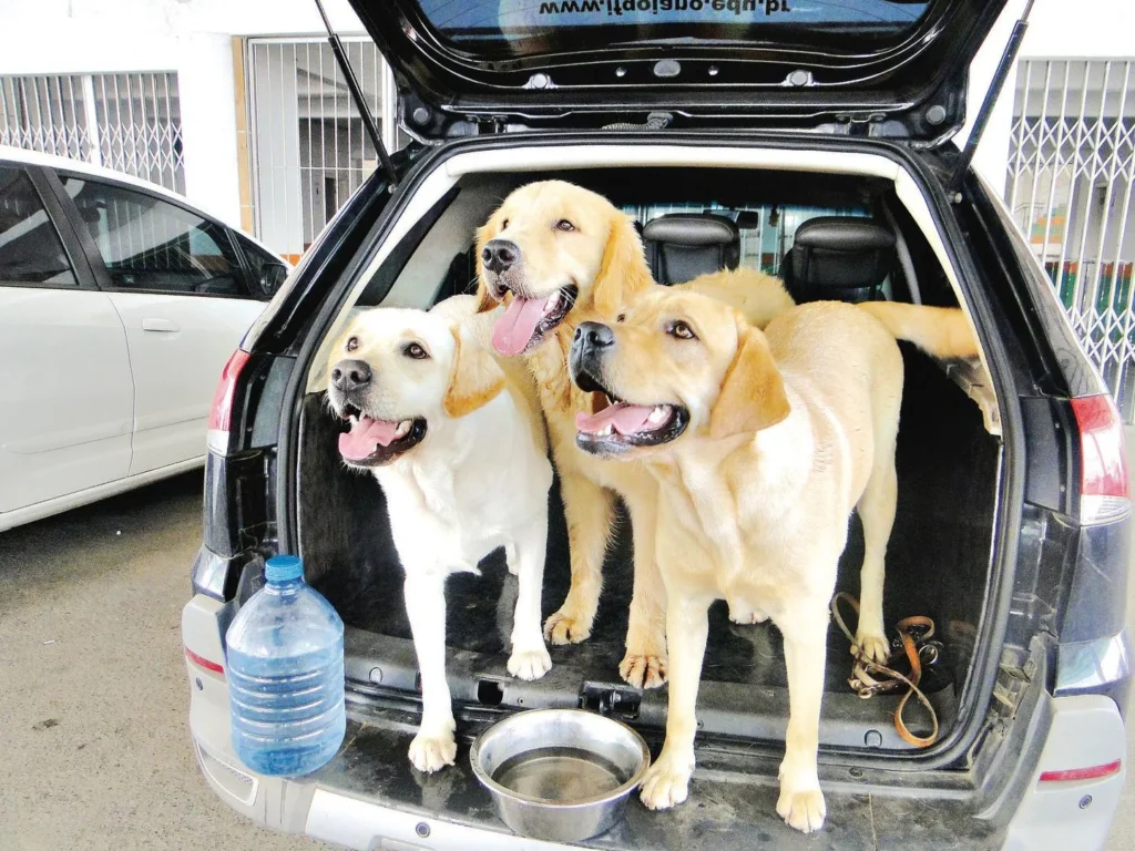 O edital tem como público-alvo pessoas cegas ou com baixa visão que residem em Goiás ou no Distrito Federal | Foto: Divulgação/ Ascom Jataí