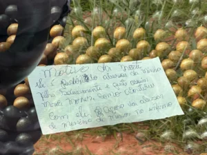O corpo foi encontrado por motoristas que passavam pela estrada. | Foto: Divulgação